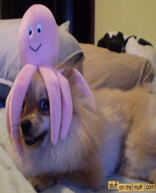 1301